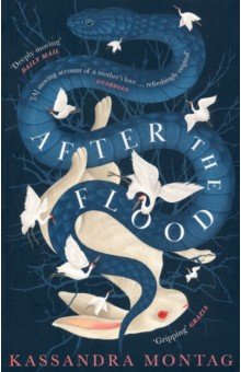 Montag Kassandra: After the Flood