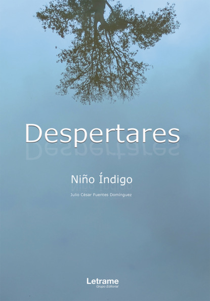 Indigo Niño: Despertares