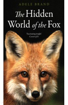 Brand Adele: The Hidden World of the Fox