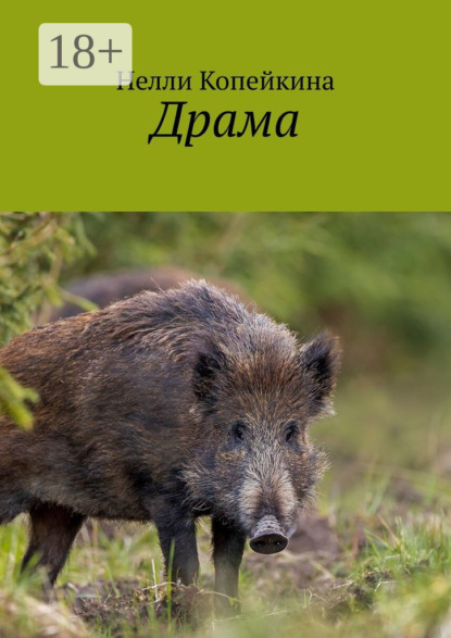 Копейкина Нелли: Драма