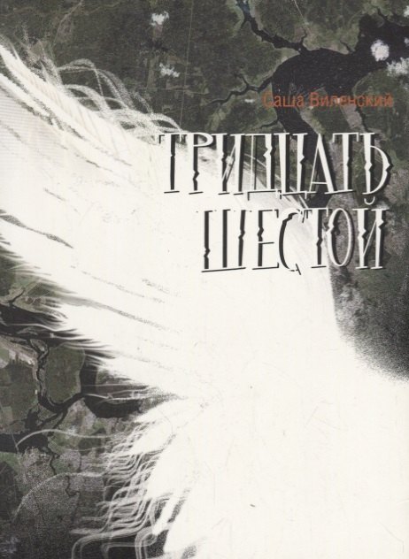Викторович Виленский Александр: Тридцать шестой