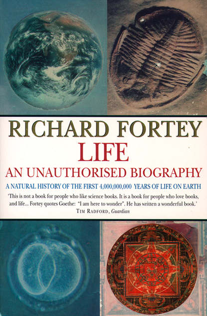 Fortey Richard: Life: an Unauthorized Biography