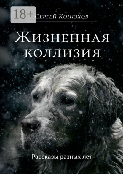 Конюхов Сергей: Жизненная коллизия