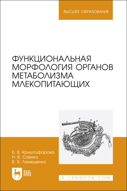 В. Б. Криштофорова: Функциональная морфология органов метаболизма млекопитающих. Учебное пособие для вузов