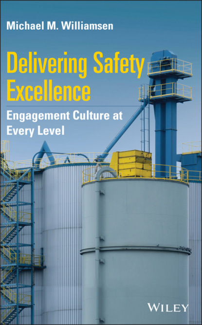 M. Michael Williamsen: Delivering Safety Excellence