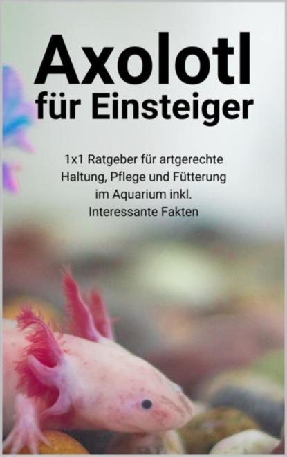 Hawk Thorsten: Axolotl für Einsteiger