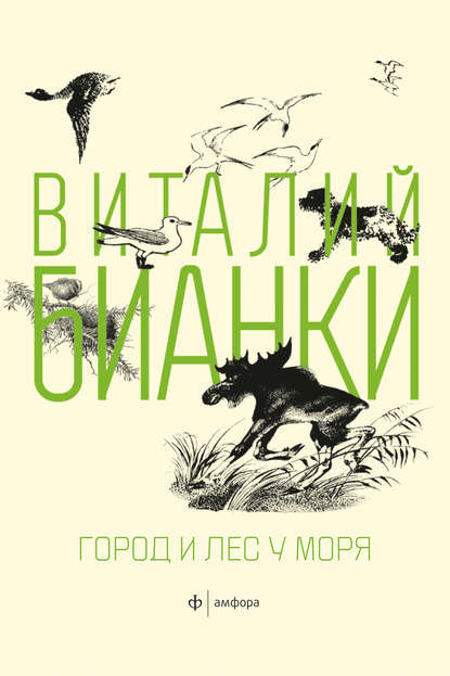 Бианки Виталий Валентинович: Город и лес у моря (сборник)