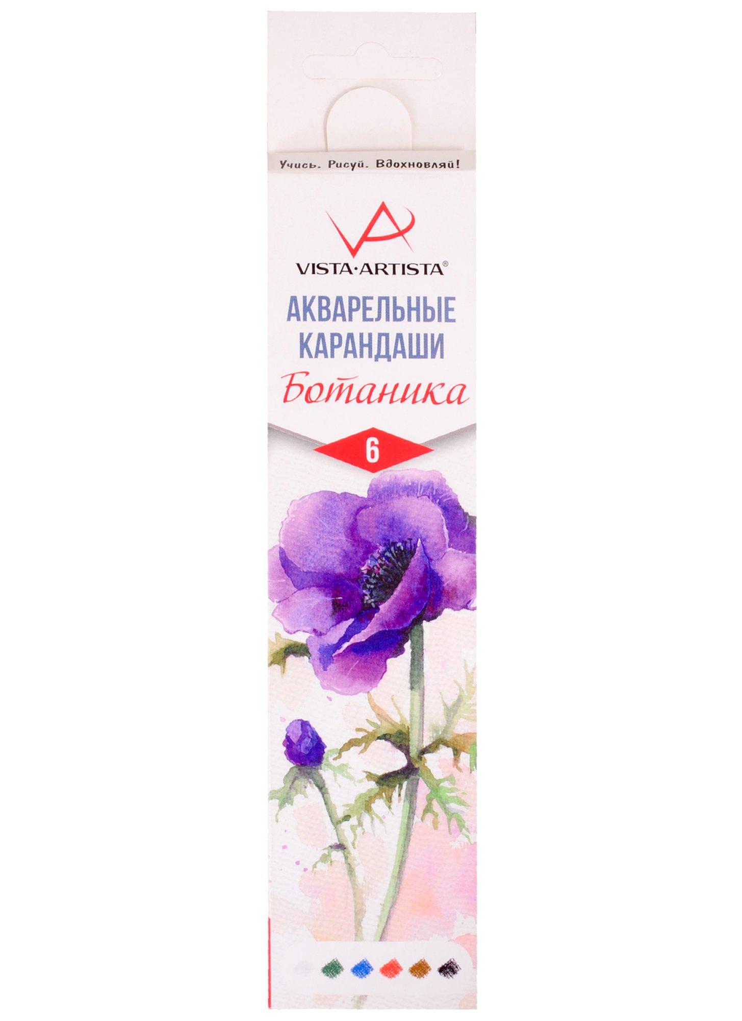 Карандаши акварельные &quot;VISTA-ARTISTA&quot; 6цв, Extra Fine, серия &quot;Ботаника&quot;  Анемон 02, к/к, ВКФ