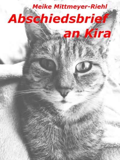 Mittmeyer-Riehl Meike: Abschiedsbrief an Kira