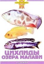Гуржий Александр Николаевич: Цихлиды озера Малави