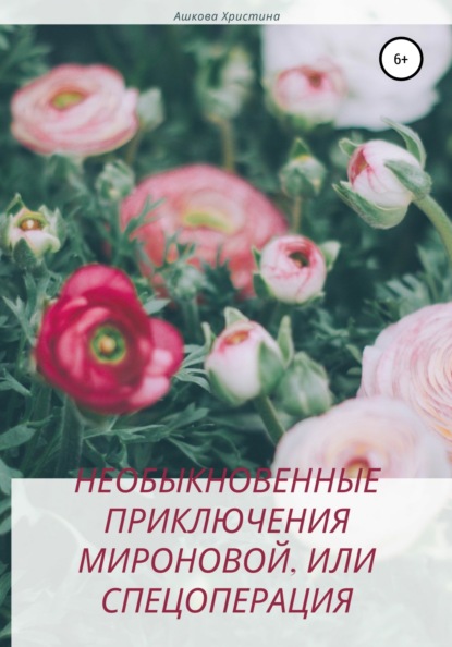Александровна Христина Ашкова: Необыкновенные приключения Мироновой, или Спецоперация