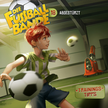 Maria Aikaterini Schlösser: Die Fussballbande, Folge 18: Abgestürzt!