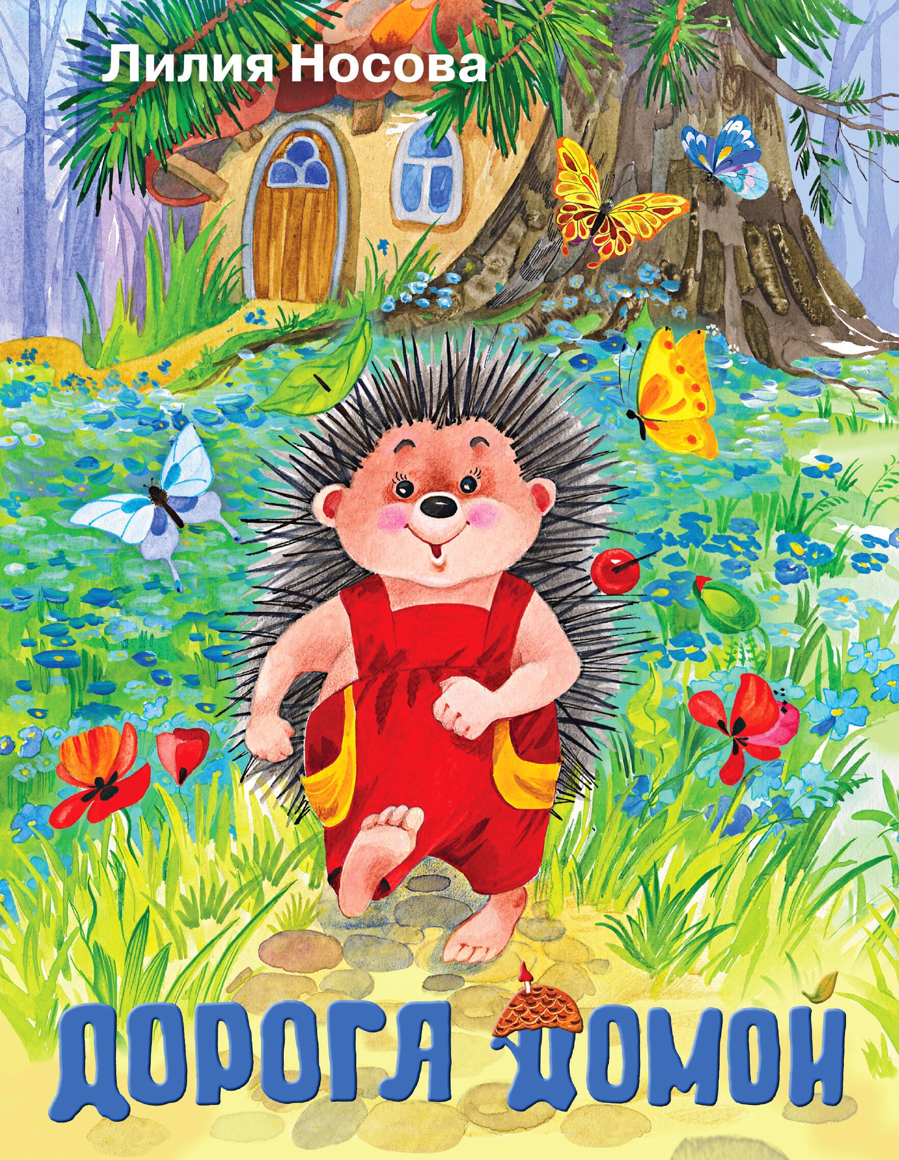 Носова Лилия Сергеевна: Дорога домой