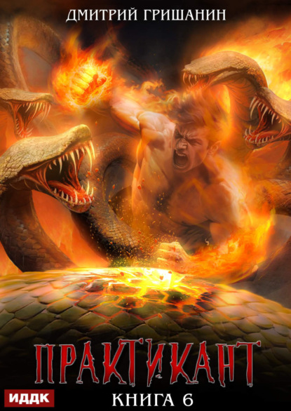 Гришанин Дмитрий: Практикант. Книга 6