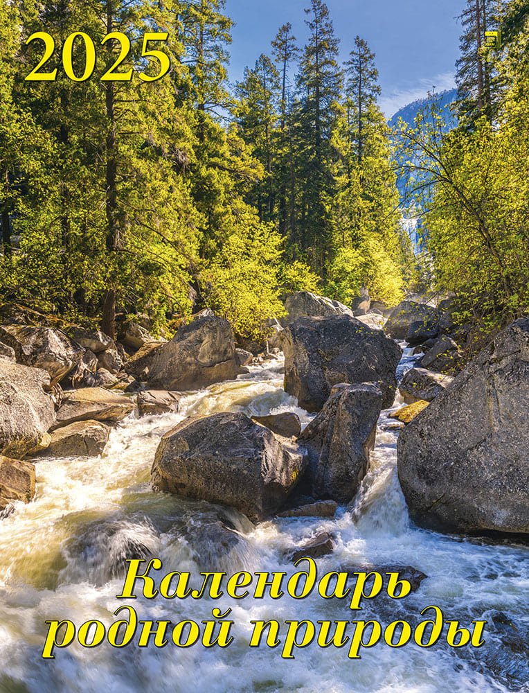 Календарь 2025г 460*600 "Календарь родной природы" настенный, на спирали