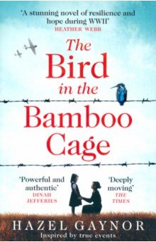 Gaynor Hazel: The Bird in the Bamboo Cage