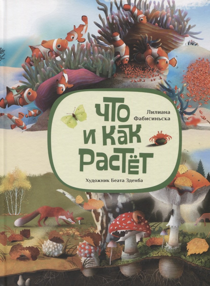 Фабисиньска Лилиана: Что и как растет
