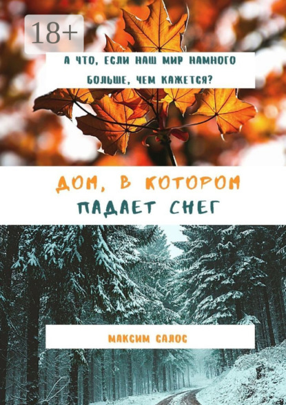 Салос Максим: Дом, в котором падает снег