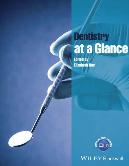 Kay Elizabeth: Dentistry at a Glance