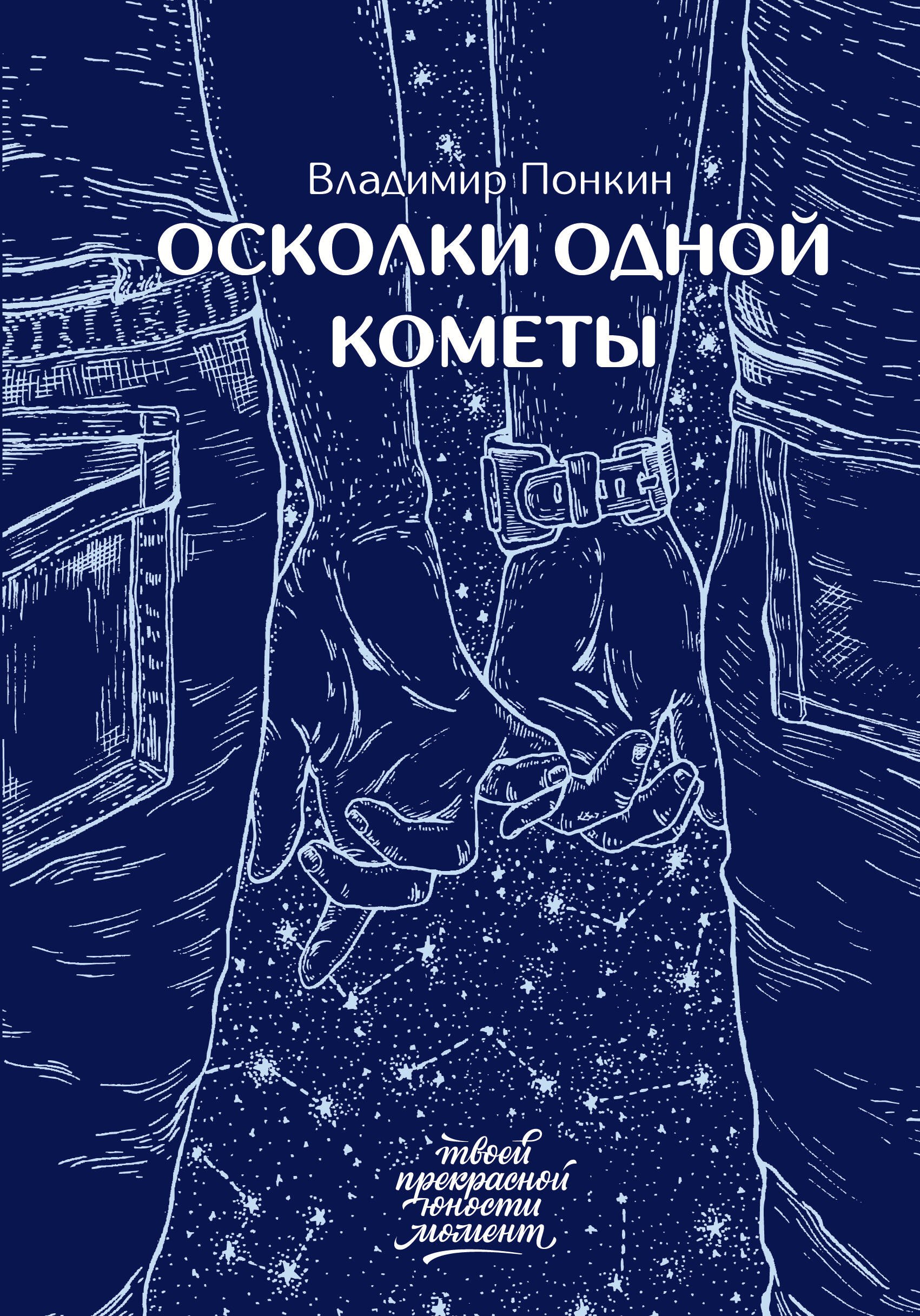 Олегович Понкин Владимир: Осколки одной кометы