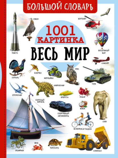 А. А. Спектор: Большой словарь. Весь мир. 1001 картинка