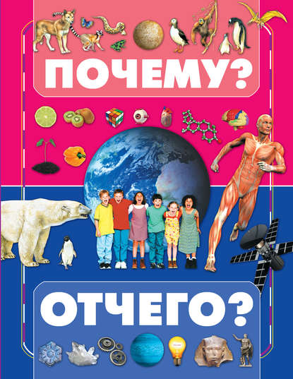 С. Е. Чайка: Почему и отчего?