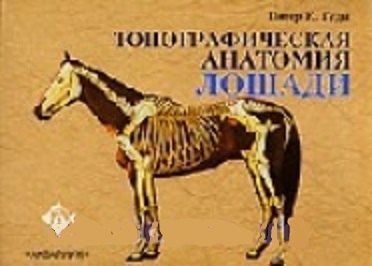 Гуди Питер К.: Аквар.Топографич.анатомия лоша