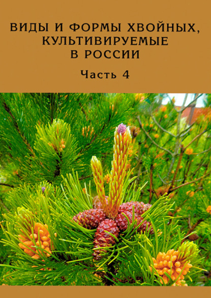 Л. Д. Матюхин: Виды и формы хвойных, культивируемые в России. Часть 4