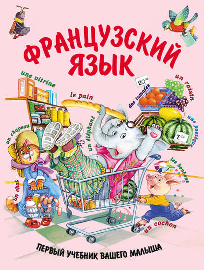 В. Е. Агеева: Французский язык