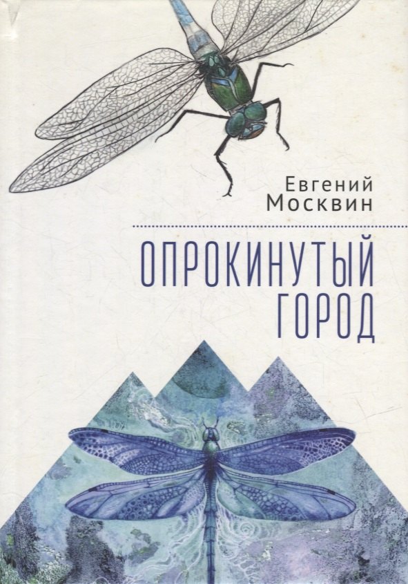 Евгений Москвин: Опрокинутый город