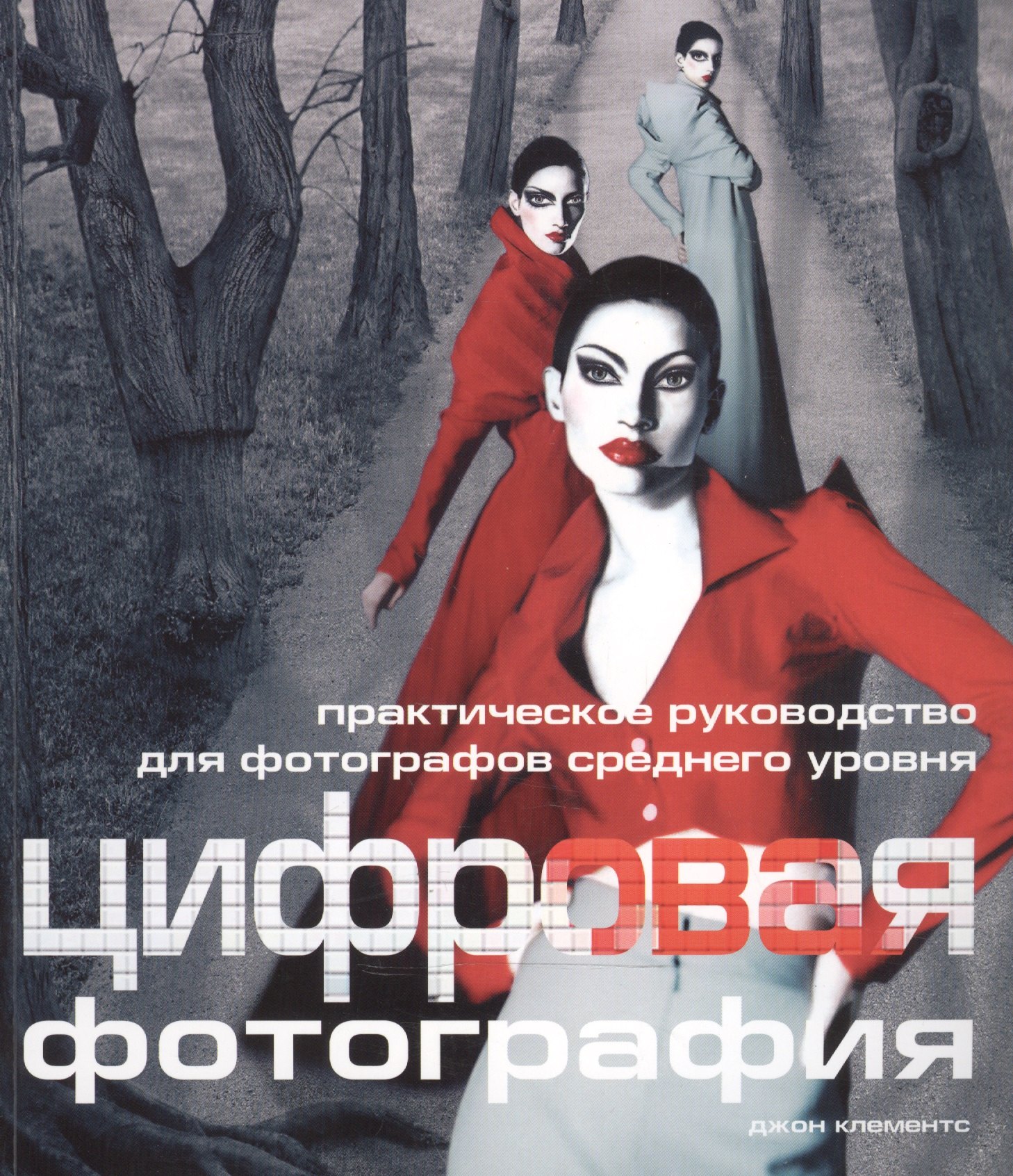 Клементс Джон: Цифровая фотография: Практическое руководство для фотографов среднего уровня