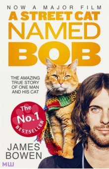Bowen James: A Street Cat Named Bob