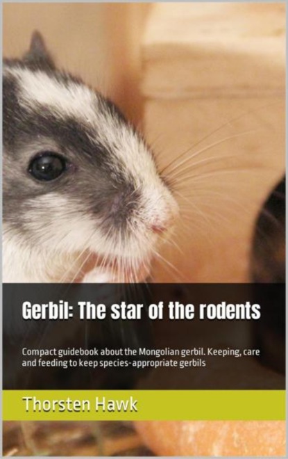 Hawk Thorsten: Gerbil: The star of the rodents