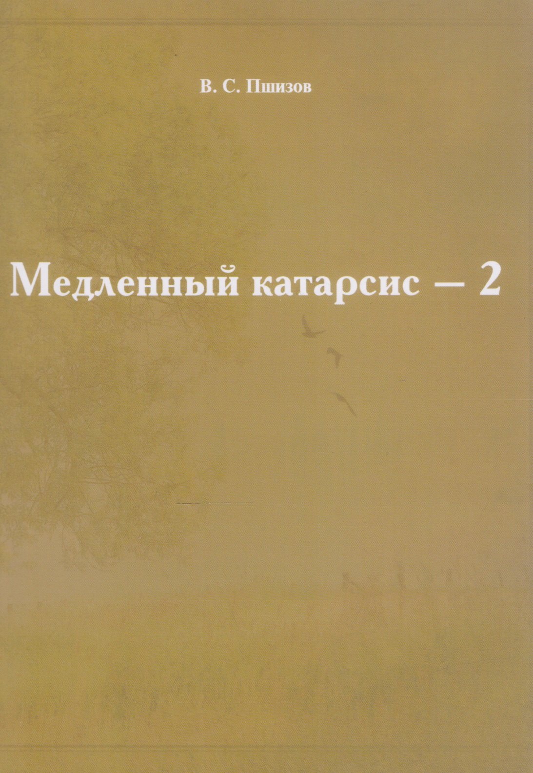 Пшизов Владимир Сергеевич: Медленный катарсис-2