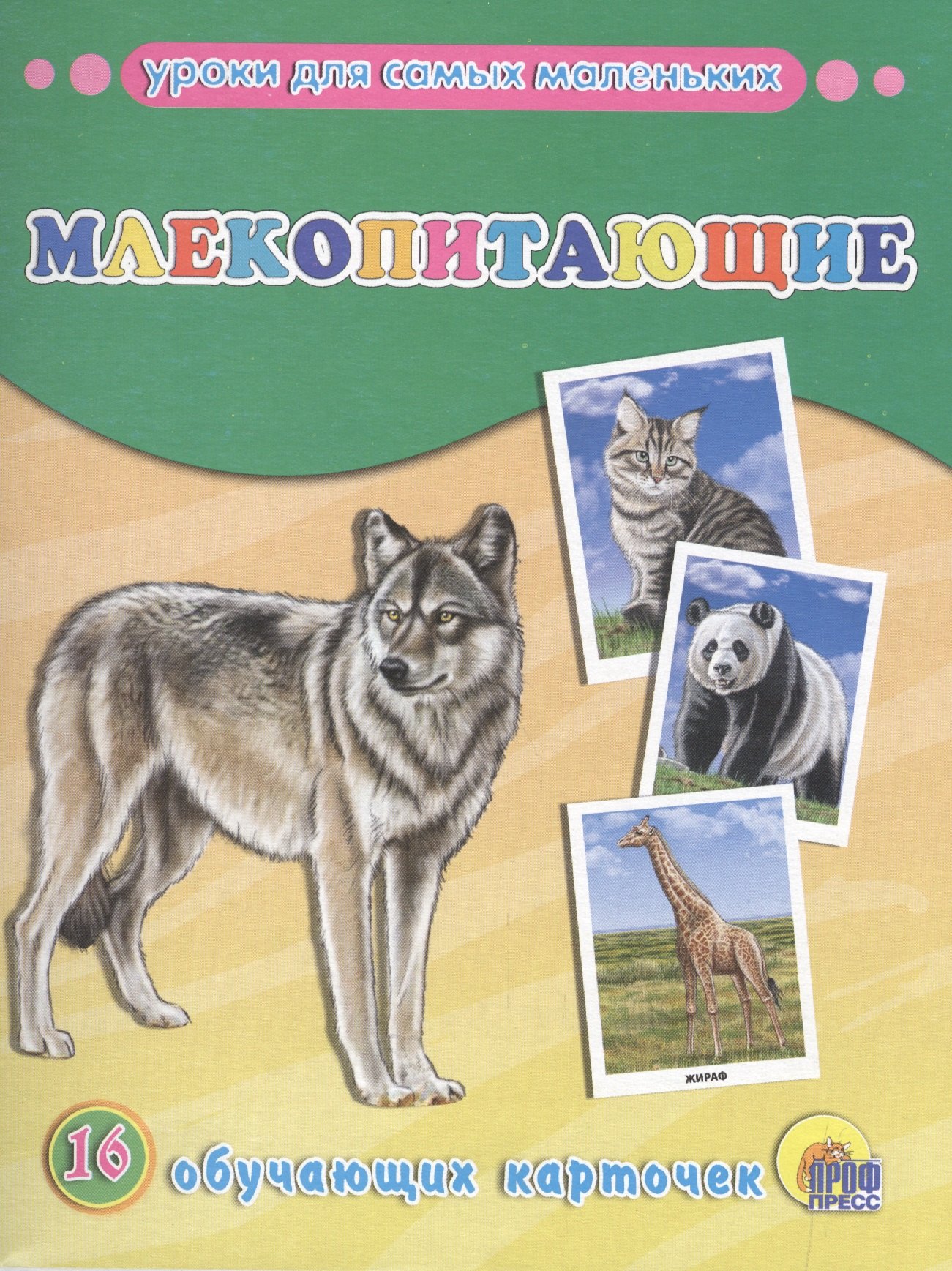 Млекопитающие