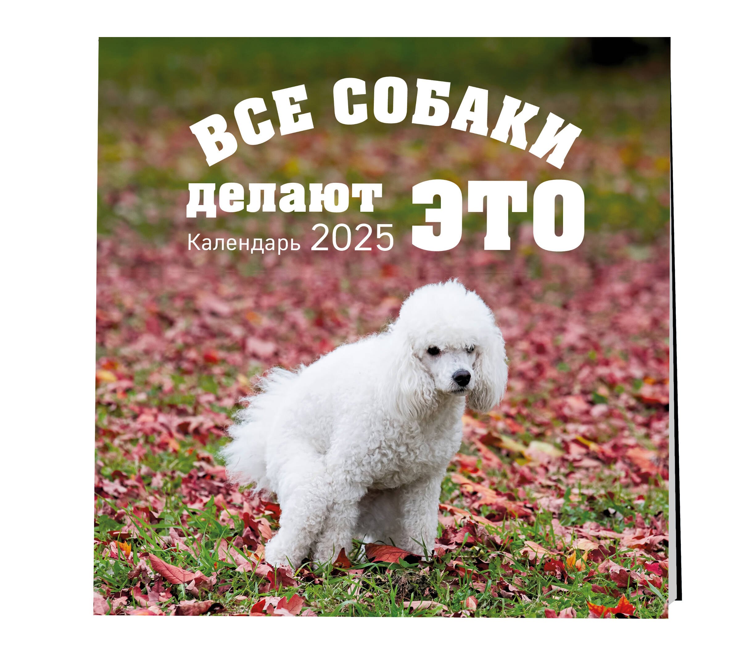 Календарь 2025г 300*300 "Все собаки делают это" настенный, на скрепке