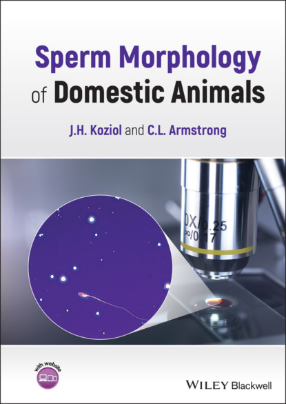 H. J. Koziol: Sperm Morphology of Domestic Animals