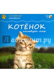 Тейтелбаум Майкл: Котенок исследует мир
