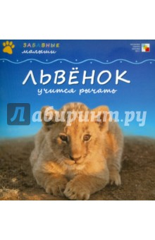Менон Сужата: Львенок учится рычать