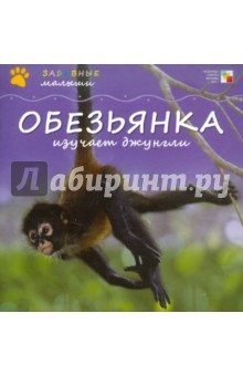 Тейтелбаум Майкл: Обезьянка изучает джунгли