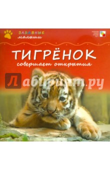 Менон Сужата: Тигренок совершает открытия