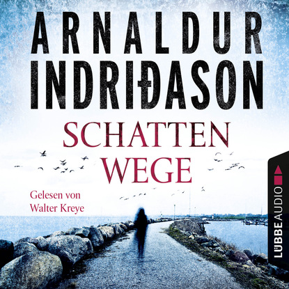 Indridason Arnaldur: Schattenwege - Island Krimi