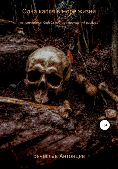 Станиславович Вячеслав Антонцев: Одна капля в море жизни