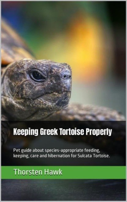 Hawk Thorsten: Keeping Greek Tortoise Properly