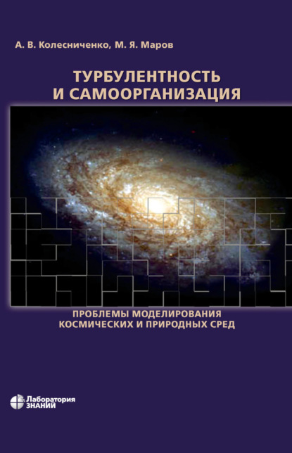 В. А. Колесниченко: Турбулентность и самоорганизация. Проблемы моделирования космических и природных сред