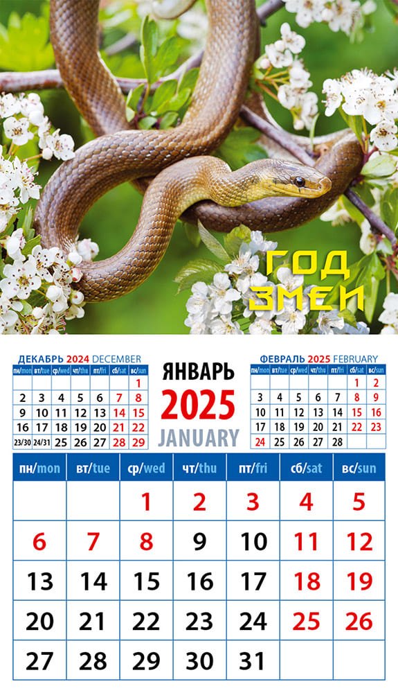 Календарь 2025г 94*167 "Год змеи 6" на магните