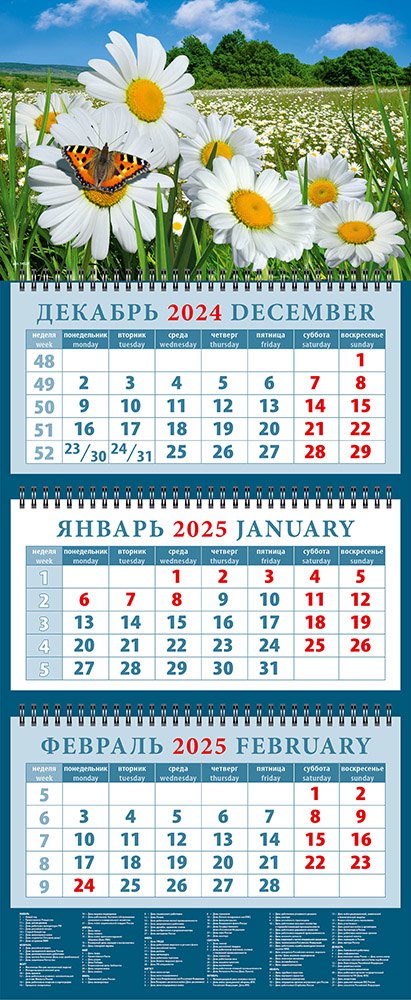 Календарь квартальный 2025г 320*760 "Ромашки и бабочка" настенный, трёхблочный, спираль