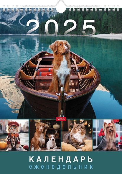 Календарь-еженедельник 2025г 240*320 "Верные друзья" настенный, на спирали