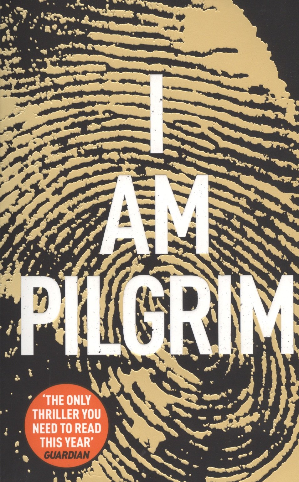 Terry Hayes: I Am Pilgrim