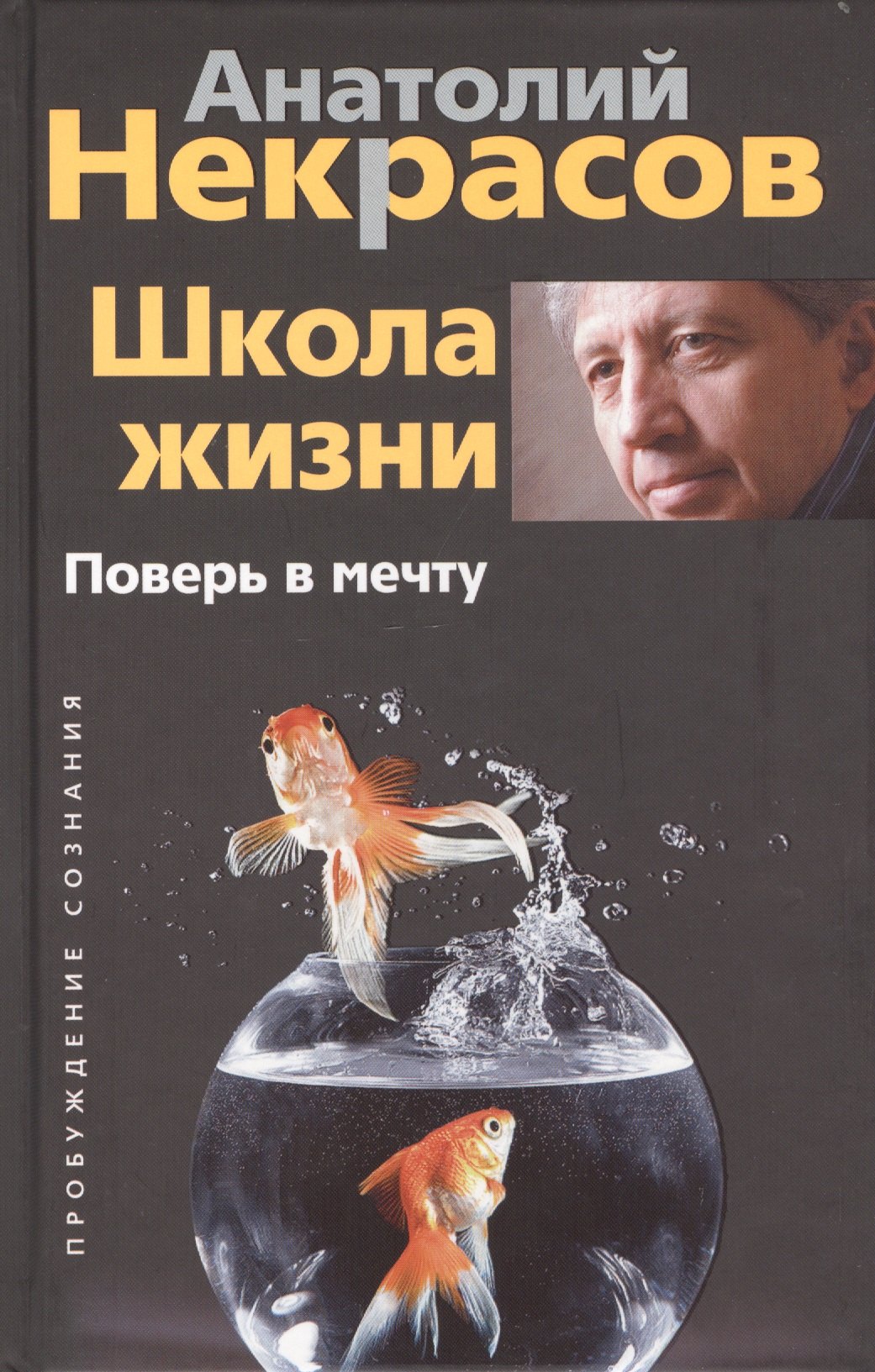 Некрасов Анатолий Александрович: Школа жизни. Поверь в мечту